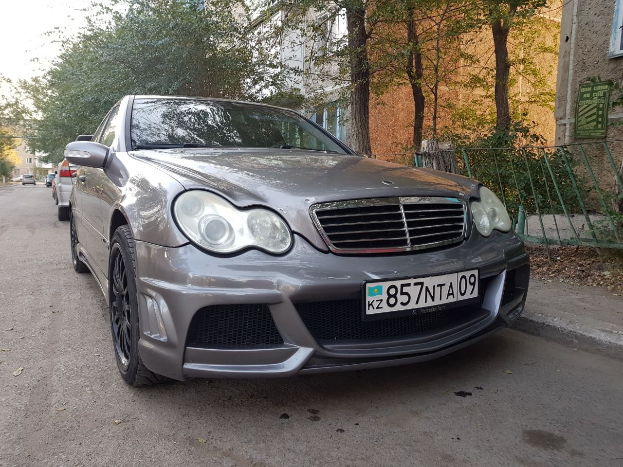 W216 Wald Bison Black